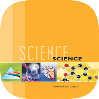 10th Science NCERT Solution