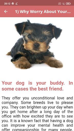 Dog Food Healthy Screenshot 1 - AppWisp.com