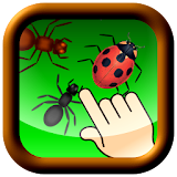 Don't bug the ladybug! icon