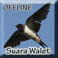 Suara Burung Walet Offline
