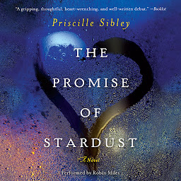 Immagine dell'icona The Promise of Stardust: A Novel