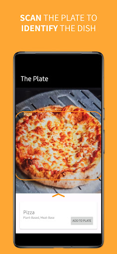 The Plate Screen 2
