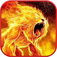 Fire Lion Wallpaper HD