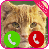 اتصال من القطة الناطقة joke icon