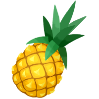 Taiwan pineapple