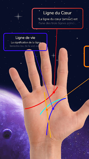 Aperçu de l'application