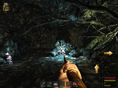 Survive: The Lost Lands Screenshot