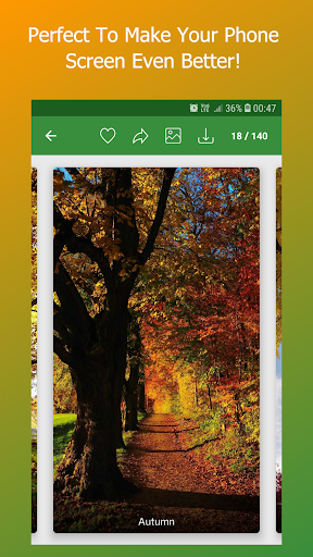 Nature Wallpapers and Background