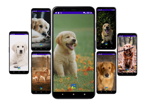 Android application Fondos de Pantalla de Perros G screenshort
