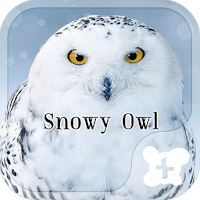 Snowy Owl wallpaper