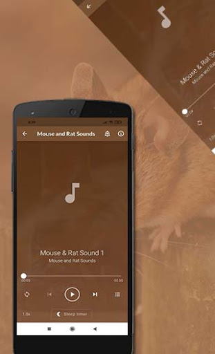 Mice and Mouse Sound Screen 3