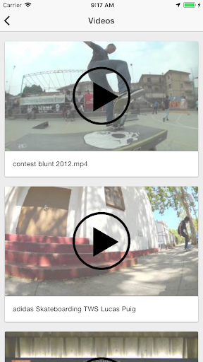 Blunt Skate Shop Screen 3