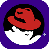 Red Hat Summit, DevNation icon