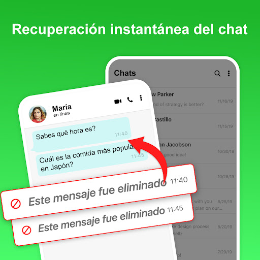 Vista previa de la aplicación
