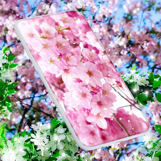 Sakura Flower Live Wallpaper apk