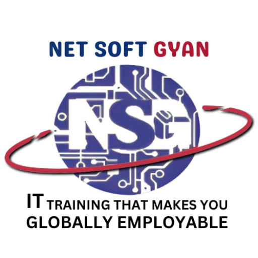 Net Soft Gyan logo