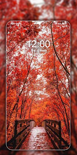 Autumn Wallpapers in 4K & HD