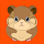 Criceta