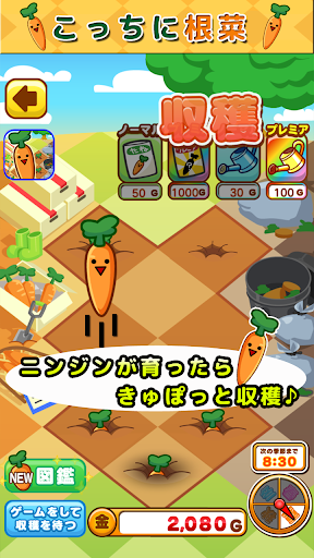 Funny-shaped carrots Screen 3