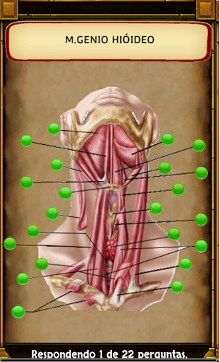 Jogando Anatomia (Completo) Screen 2