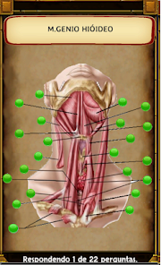 Jogando Anatomia (Completo) 15.0 APK + Mod (Paid for free / Free purchase) for Android