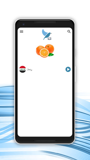 Hindi - Kurdish Dictionary Screen 2