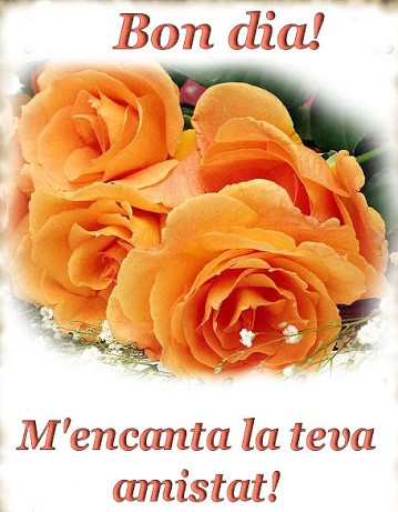 BON DIA! Screen 2