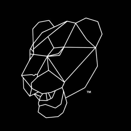 ROAR Fitness Studio logo