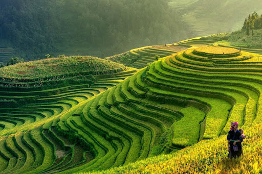 Sunset Wallpapers HD Backgroun