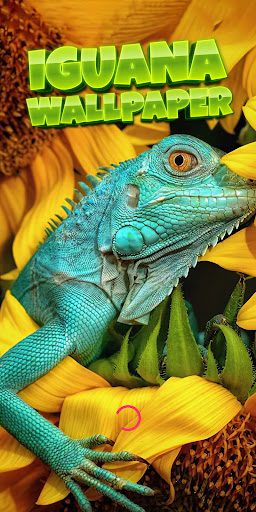 iguana wallpaper Screenshot 1 - AppWisp.com