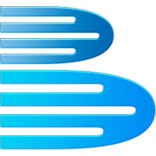 Brisk Invoicing logo