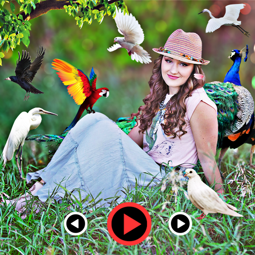 Bird photo video maker song logo