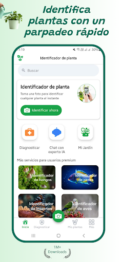 Vista previa de la aplicación