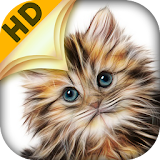 Cat Wallpapers for Home Screen icon