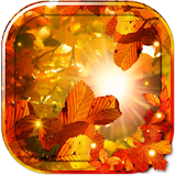 Autumn Sun n Leaves icon