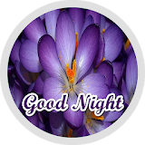 Good Night Flowers Stickers - WAStickerApps icon