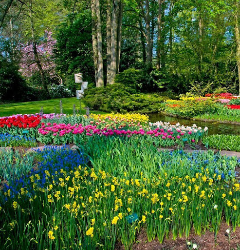 Beautiful Garden Wallpaper Screen 2