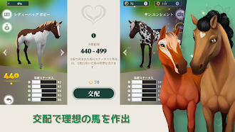 Game screenshot Wildshade: ファンタジー競馬 hack