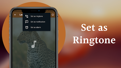 Leopard Sounds Screen 3