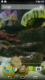 Fish Tank Live Wallpaper