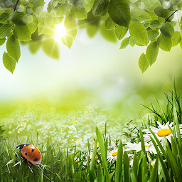 Icon image Green Spring Live Wallpaper
