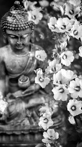Zen Wallpapers Screen 3