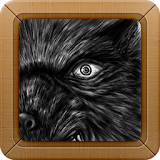 Werewolf Wallpapers Pictures icon