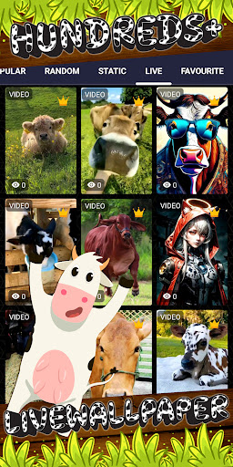 cow wallpaper Screen 3