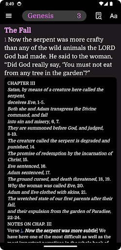 NIV Bible Notes Screen 3