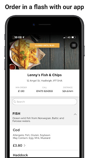 Vista previa de la aplicación