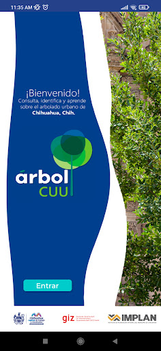 Arbol CUU Screen 3