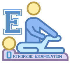 Orthopedic Examination Pro