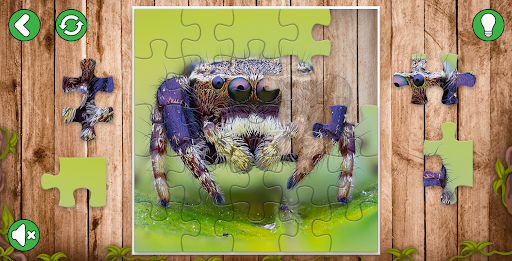 Animal puzzle games offline Screen 3