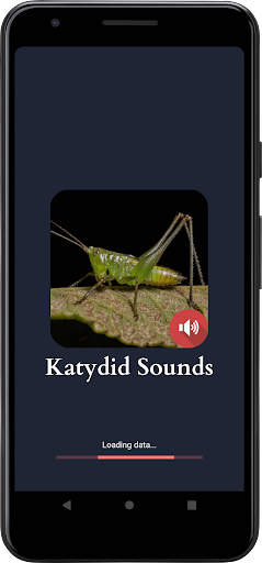 Android application Katydid Sounds screenshort